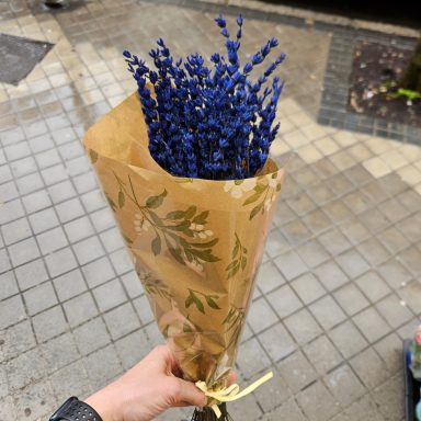 lavanda preservada 12,5 euros Paquete de lavanda preservada