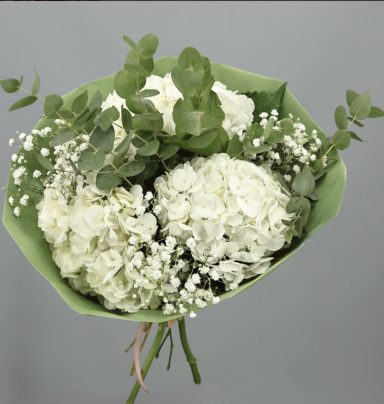 Hortensias 65 euros hortensias 65 euros