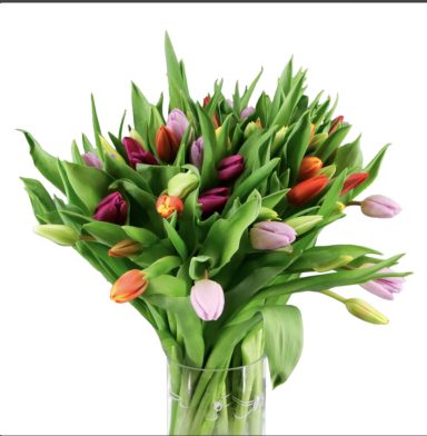 20 tulipanes 40 euros Ramo de 20 tulipanes L